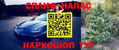 амф Лесосибирск