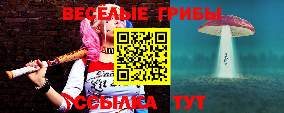 Дзержинский  Галлюциногенные грибы мухоморы  Вход с VPN 